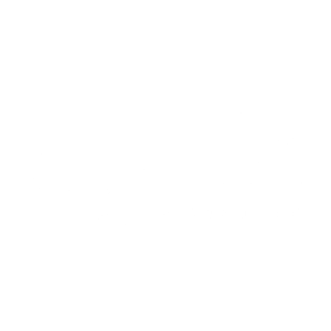 STYLEIN