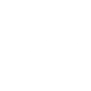 Gold Partner