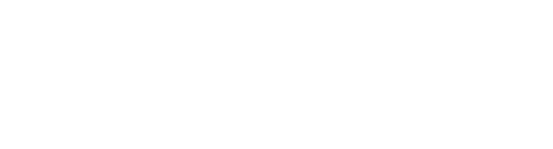 Gold Partner